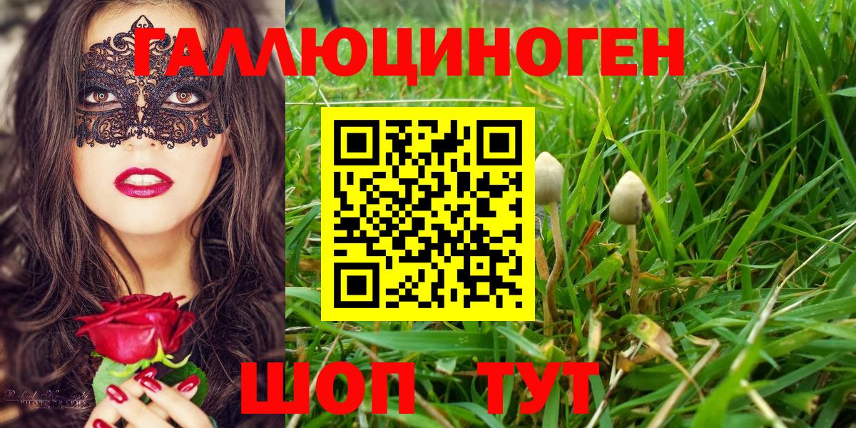 LSD-25 Михайловка